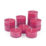 Tealighty sojowe Pink World 12 sztuk w przezroczystych osłonkach – Craftz Candle